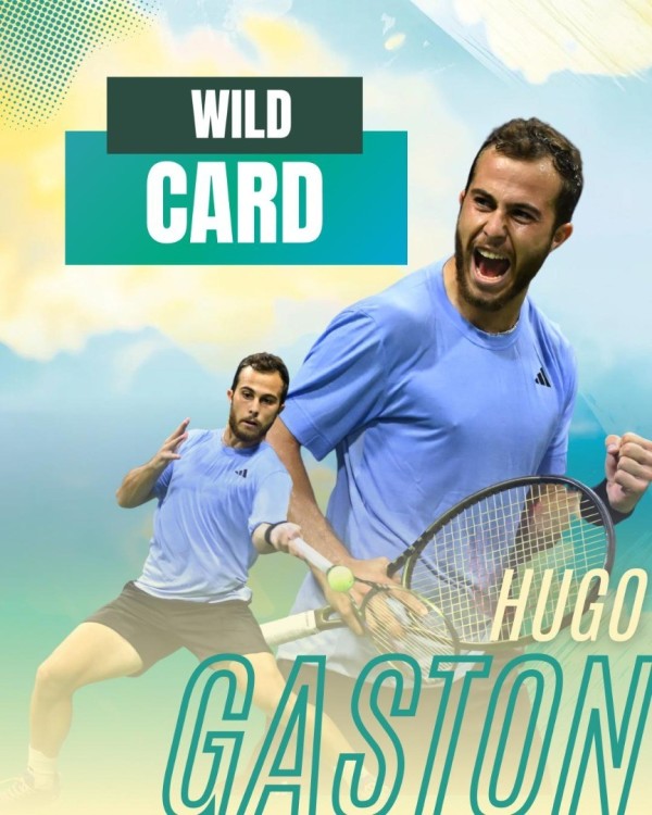 Gaston_Wild_Card__Gaston_